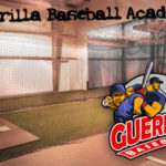 Louisiana Baseball Academy