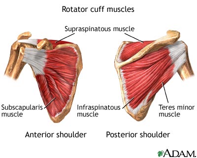 Prevent Shoulder Surgery