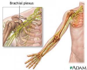 rehab a pitching arm