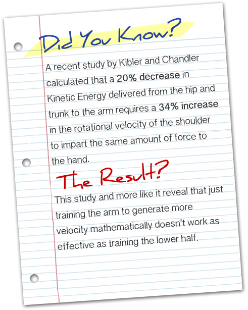 A recent study by Kibler and Chandler calculated that a 20% decrease in Kinetic Energy delivered from the hip and trunk to the arm requires a 34% increase in the rotational velocity of the shoulder to impart the same amount of force to the hand.