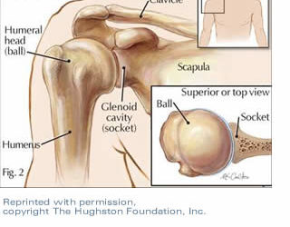 Study Proves Heavy Weight Training Reduces Pitching Injury