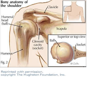 Study Proves Heavy Weight Training Reduces Pitching Injury