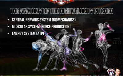 Baseball Workouts to Make You Bigger, Stronger, Faster