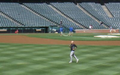 Distance Running Reduces Elastic Energy and Lowers Pitching Velocity