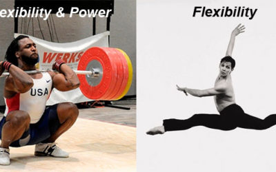 Flexibility and the High Velocity Pitcher