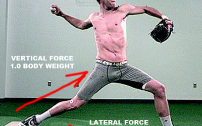 Pitching Velocity Dynamics of Action to Reaction