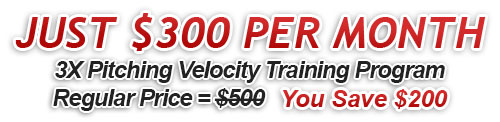 3X Velocity Training Price