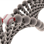 Fastball DNA