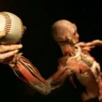 Pitchers Long Tossing and the Placebo Effect in Baseball