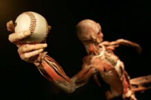 Pitcher Muscle Activity