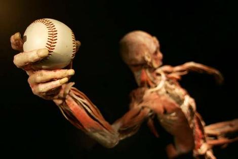 Pitcher Muscle Activity