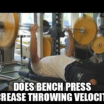 Studies Prove Bench Press Increases Throwing Velocity