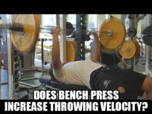 Bench Press Increases Throwing Velocity