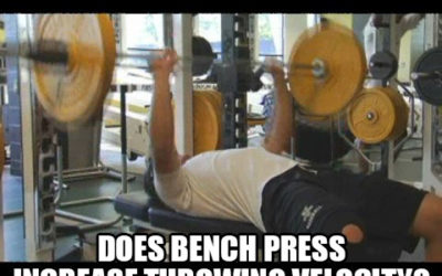 Studies Prove Bench Press Increases Throwing Velocity