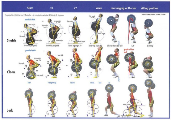 Studies Prove Olympic Lifting Has Less Injuries Than Major League Baseball