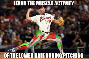 Lower Half Muscle Activity Pitching