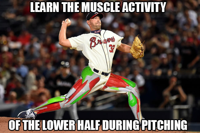 Lower Body Muscles That Contribute to Pitching Performance