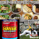 Recovery For The High Velocity Pitcher or Position Player