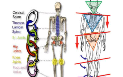 Mastering The High Velocity Pitchers Kinetic Chain