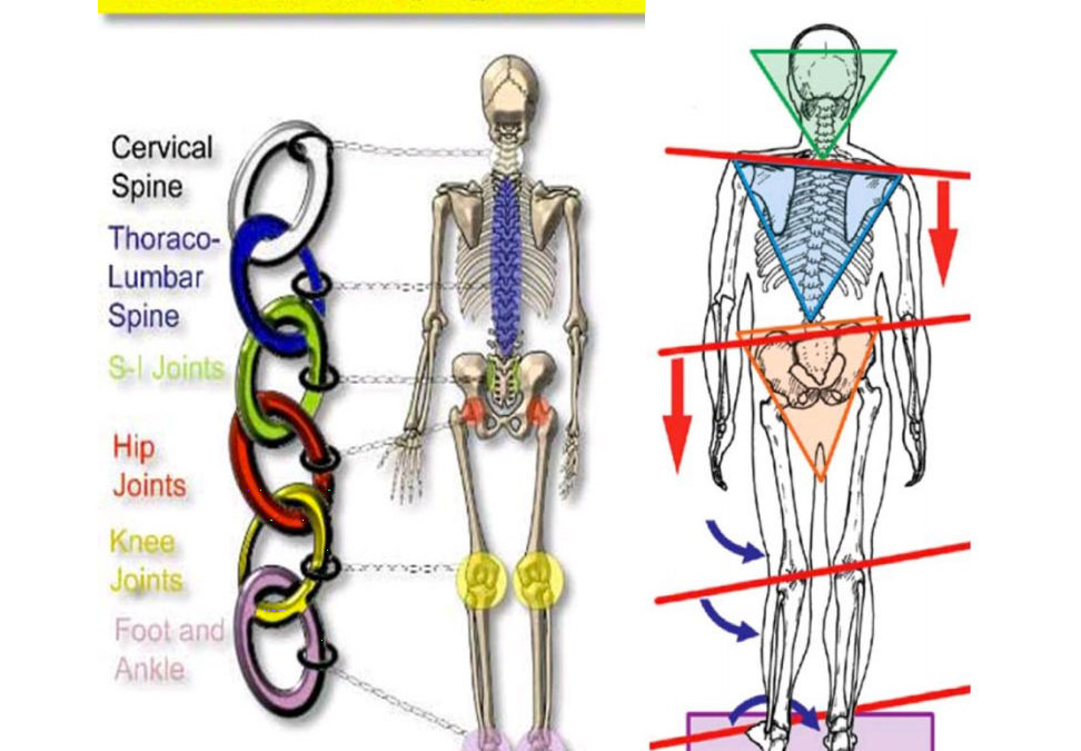 Mastering The High Velocity Pitchers Kinetic Chain