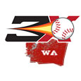 Washington Pitching Instruction