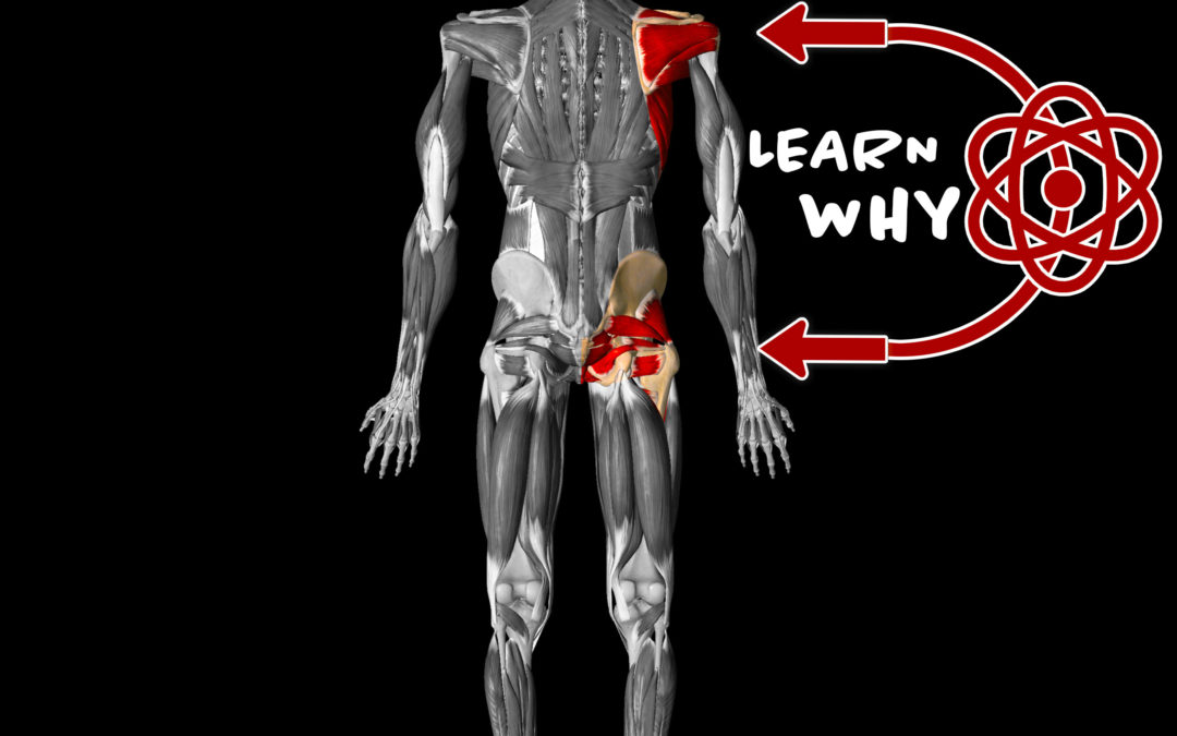 ARM CARE Training Poorly Prevents Throwing Injury