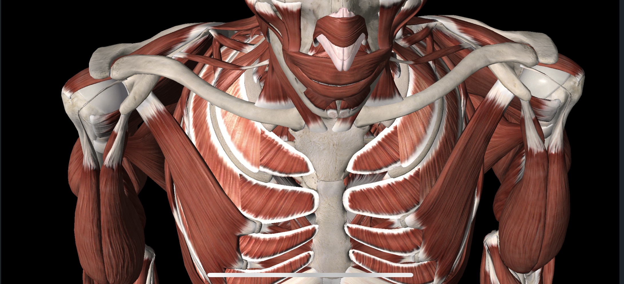 Preventing Pitching Injuries from Happening in the First Place