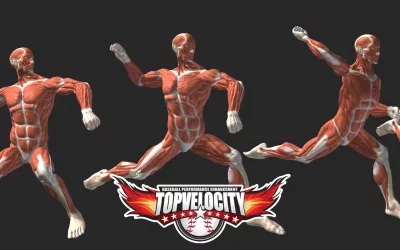 How Long Does it Take to Increase Pitching Velocity