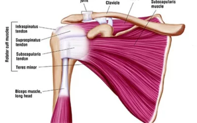 Can a pitcher recover from a torn rotator cuff?