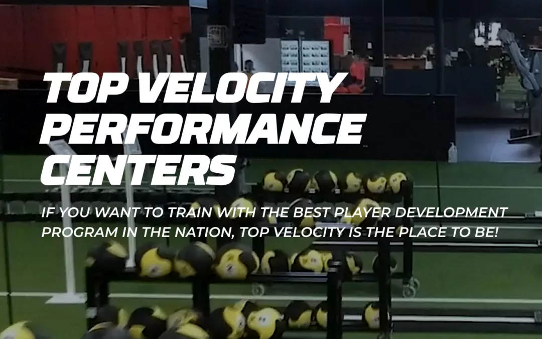 How much does it cost to add TopV to a D-BAT franchise?
