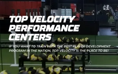 How much does it cost to add TopV to a D-BAT franchise?