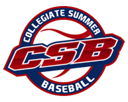 Collegiate Summer Baseball Leagues in North Carolina