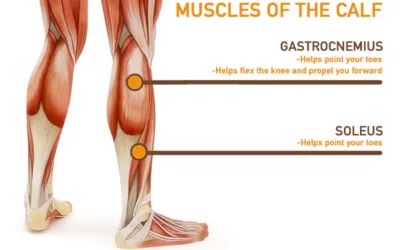 The Muscles to Work Out to Throw Baseball Harder