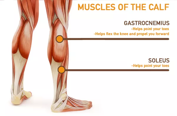 The Muscles to Work Out to Throw Baseball Harder