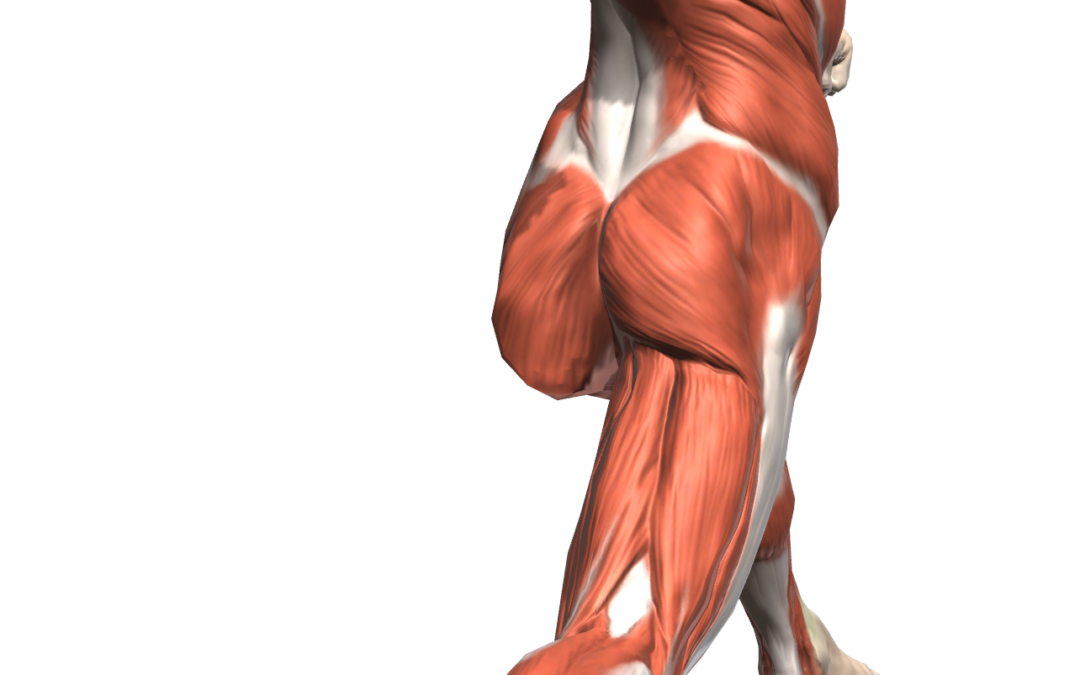Hip Shoulder Separation for Baseball