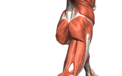 Hip Shoulder Separation for Baseball