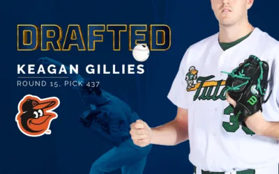 How Can I Become a Professional Baseball Player?