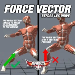 Force Vector
