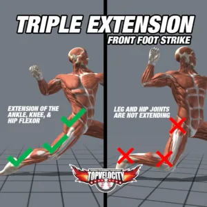 Analyzing Lower Half Pitching Mechanics