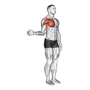 Shoulder Strength And Flexibility
