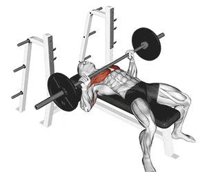 Upper Body Lifting for Baseball Players