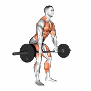 Power Clean Transition