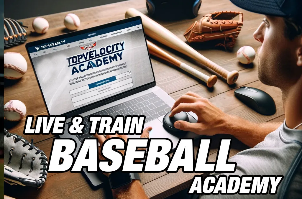 Live and Train Baseball Academy