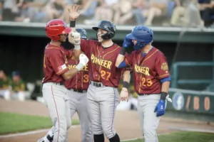 Pioneer Baseball League