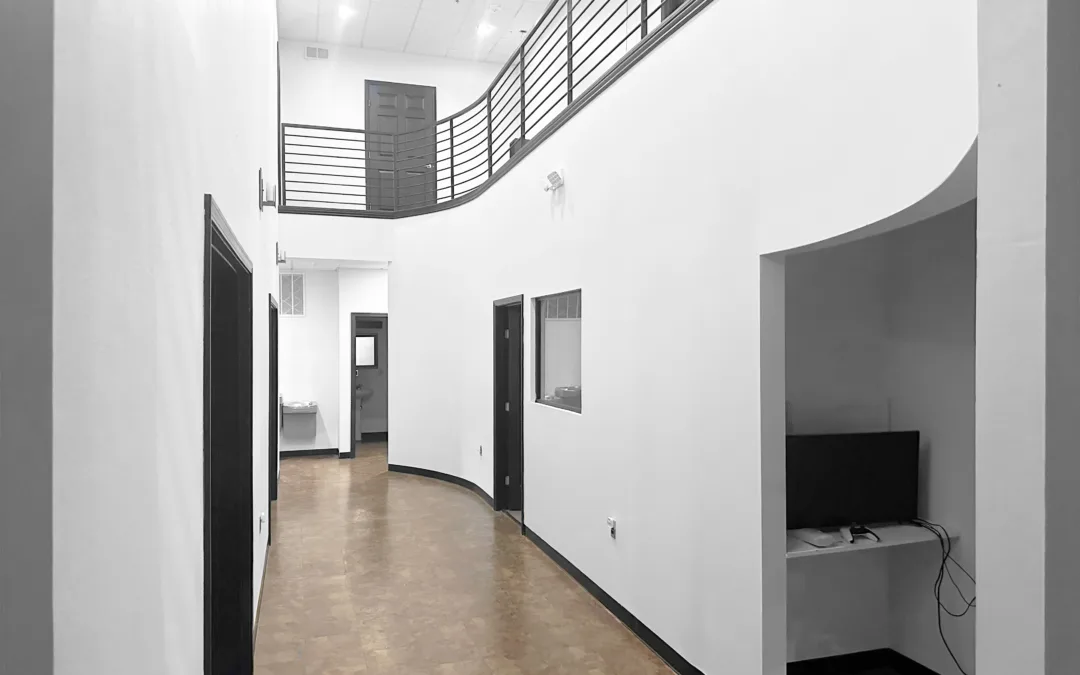 Living the Baseball Dream: Top Velocity Live and Train