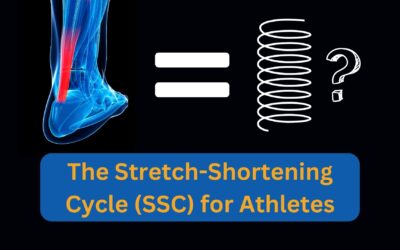 The Stretch Shortening Cycle in Pitching Mechanics
