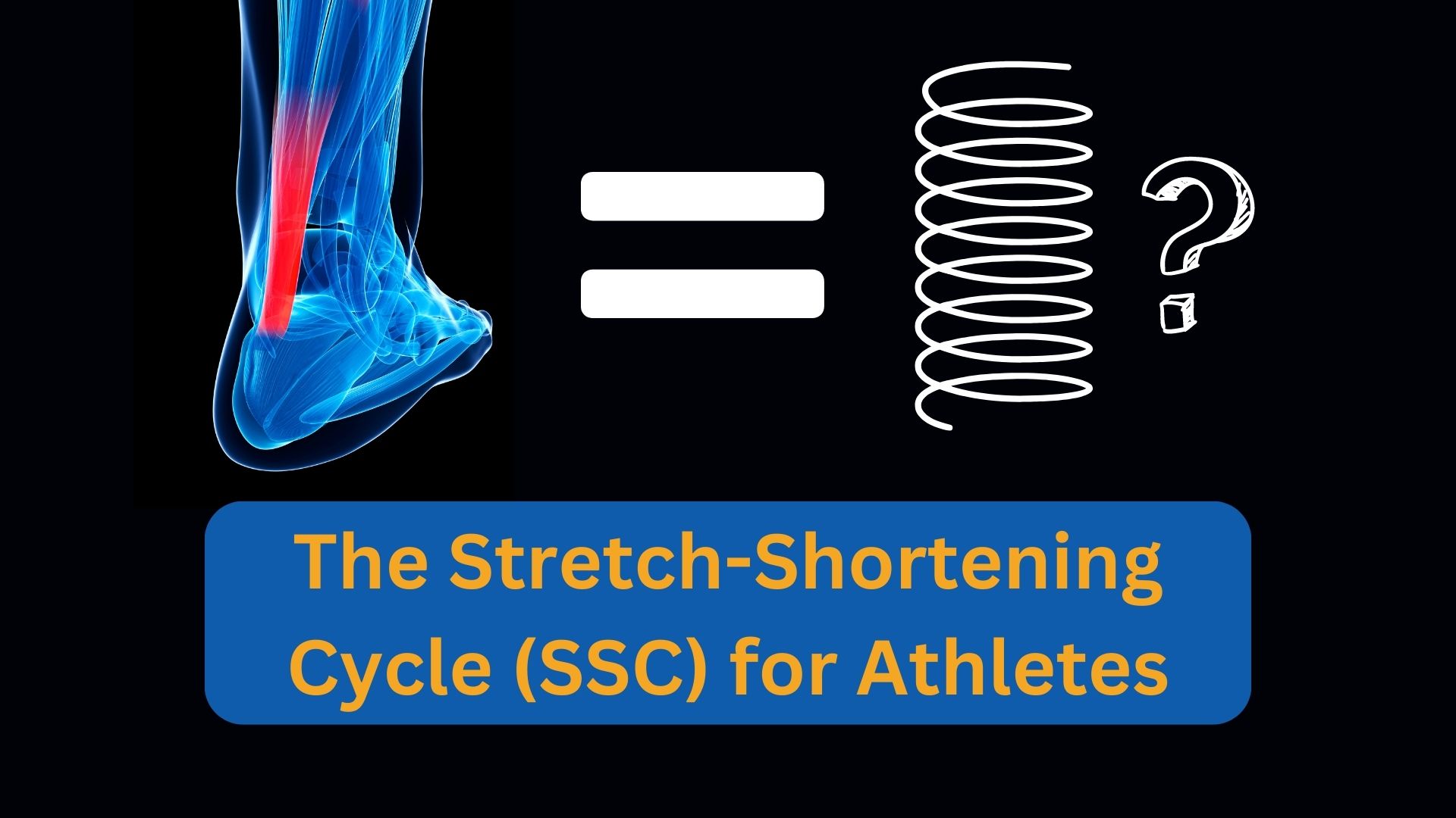 The Stretch Shortening Cycle in Pitching Mechanics TopVelocity