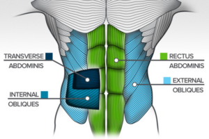 Core Training For Baseball