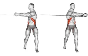 Anti-Rotational Exercises